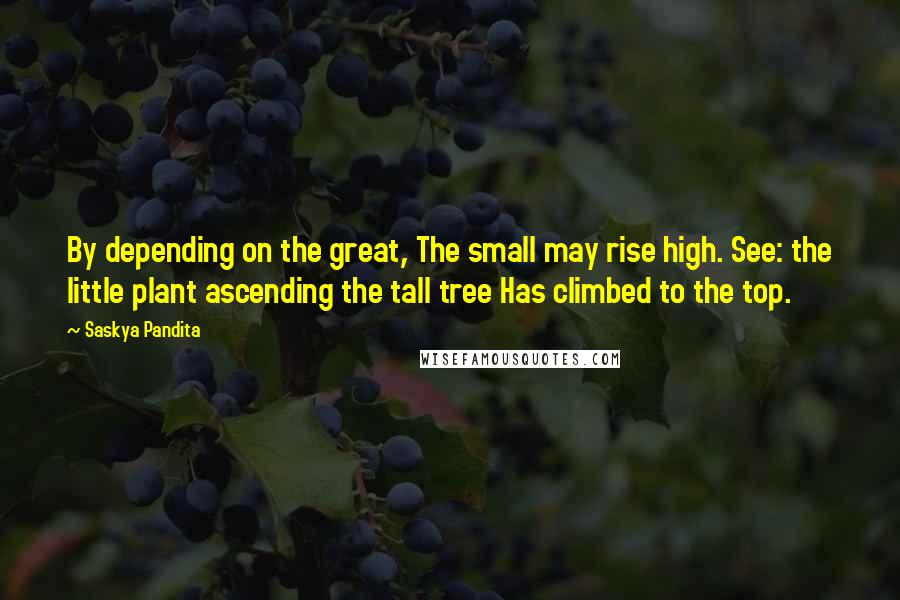 Saskya Pandita Quotes: By depending on the great, The small may rise high. See: the little plant ascending the tall tree Has climbed to the top.