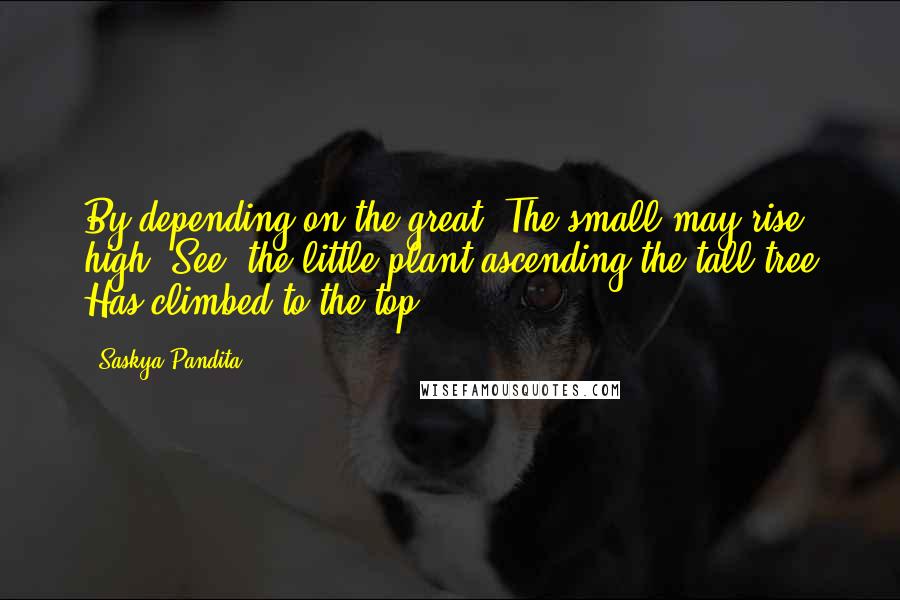 Saskya Pandita Quotes: By depending on the great, The small may rise high. See: the little plant ascending the tall tree Has climbed to the top.