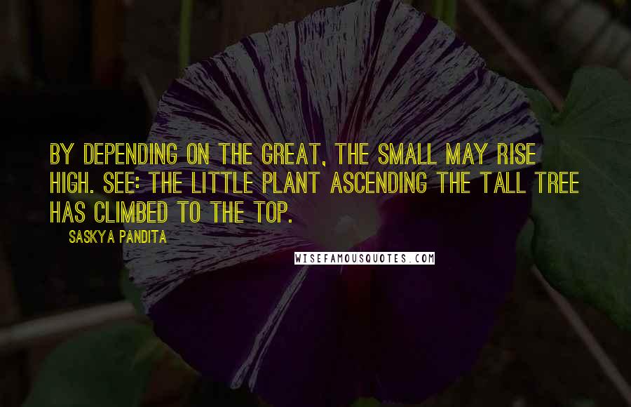 Saskya Pandita Quotes: By depending on the great, The small may rise high. See: the little plant ascending the tall tree Has climbed to the top.