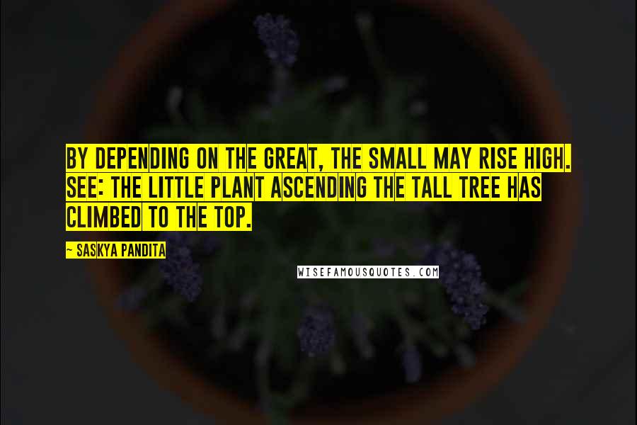 Saskya Pandita Quotes: By depending on the great, The small may rise high. See: the little plant ascending the tall tree Has climbed to the top.