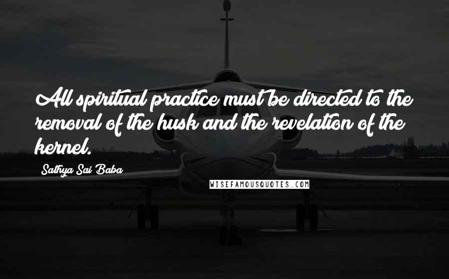 Sathya Sai Baba Quotes: All spiritual practice must be directed to the removal of the husk and the revelation of the kernel.