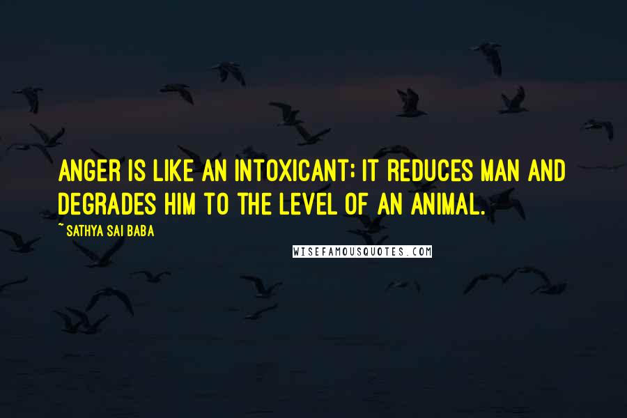 Sathya Sai Baba Quotes: Anger is like an intoxicant; it reduces man and degrades him to the level of an animal.