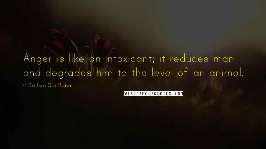 Sathya Sai Baba Quotes: Anger is like an intoxicant; it reduces man and degrades him to the level of an animal.