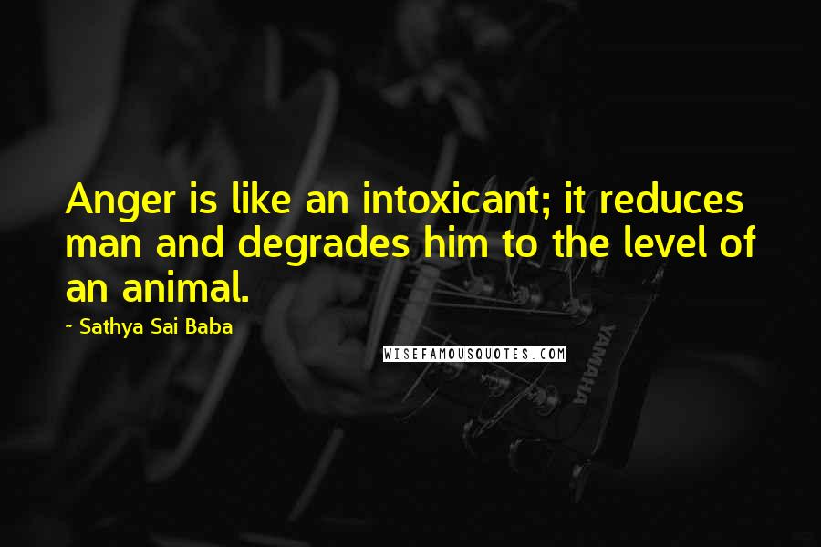 Sathya Sai Baba Quotes: Anger is like an intoxicant; it reduces man and degrades him to the level of an animal.