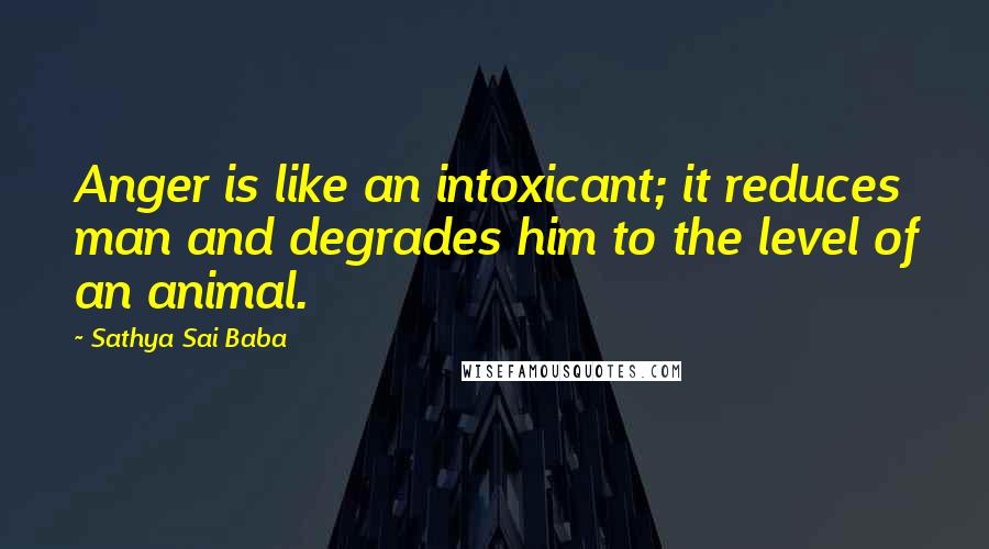Sathya Sai Baba Quotes: Anger is like an intoxicant; it reduces man and degrades him to the level of an animal.