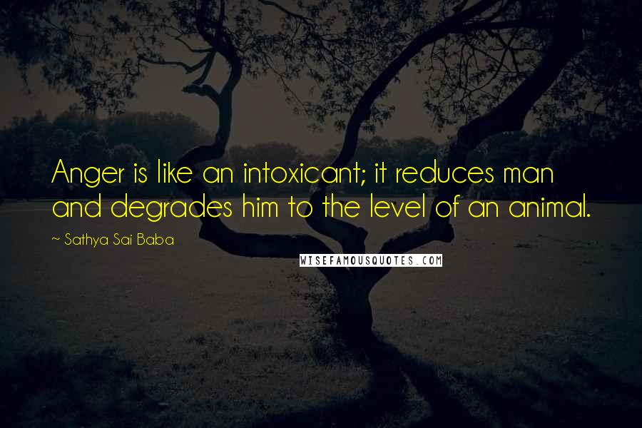 Sathya Sai Baba Quotes: Anger is like an intoxicant; it reduces man and degrades him to the level of an animal.