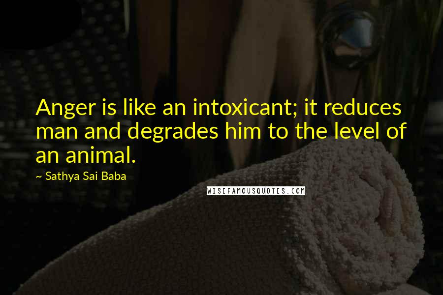 Sathya Sai Baba Quotes: Anger is like an intoxicant; it reduces man and degrades him to the level of an animal.