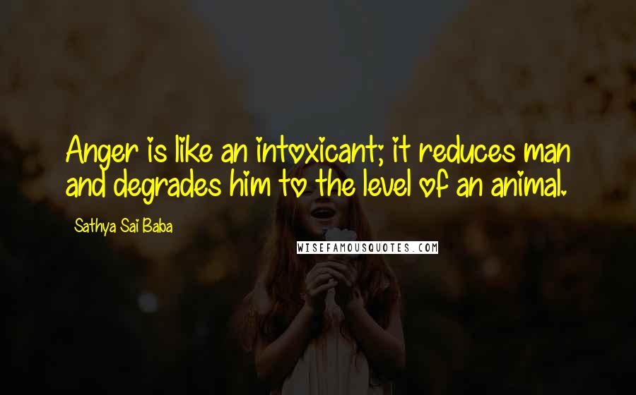 Sathya Sai Baba Quotes: Anger is like an intoxicant; it reduces man and degrades him to the level of an animal.