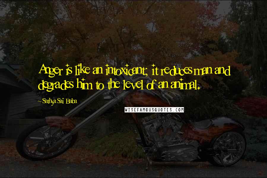 Sathya Sai Baba Quotes: Anger is like an intoxicant; it reduces man and degrades him to the level of an animal.