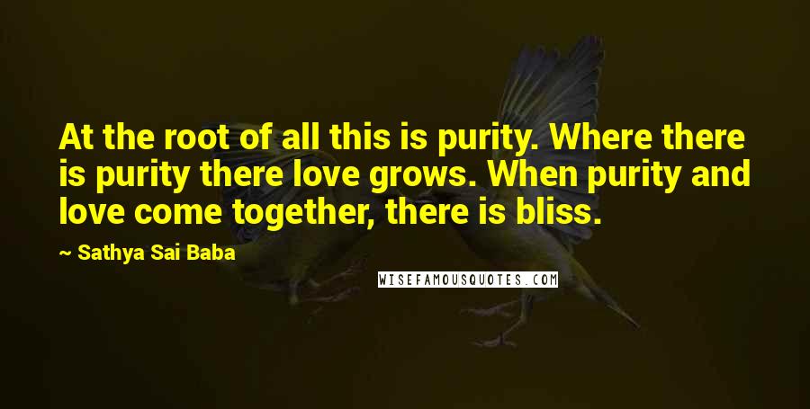 Sathya Sai Baba Quotes: At the root of all this is purity. Where there is purity there love grows. When purity and love come together, there is bliss.