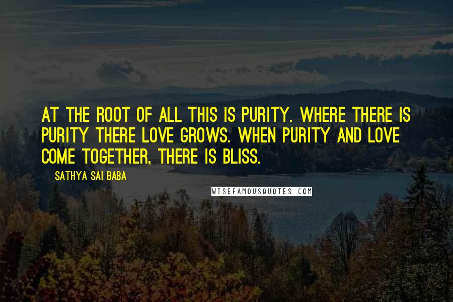 Sathya Sai Baba Quotes: At the root of all this is purity. Where there is purity there love grows. When purity and love come together, there is bliss.