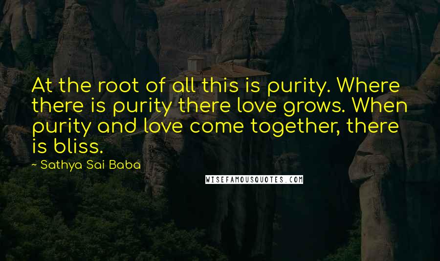 Sathya Sai Baba Quotes: At the root of all this is purity. Where there is purity there love grows. When purity and love come together, there is bliss.