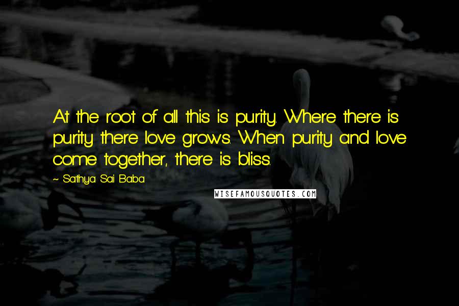 Sathya Sai Baba Quotes: At the root of all this is purity. Where there is purity there love grows. When purity and love come together, there is bliss.