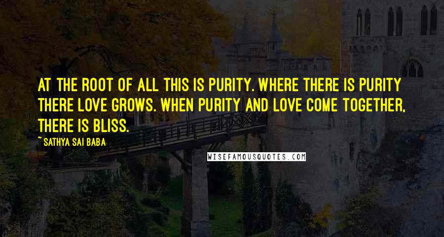 Sathya Sai Baba Quotes: At the root of all this is purity. Where there is purity there love grows. When purity and love come together, there is bliss.