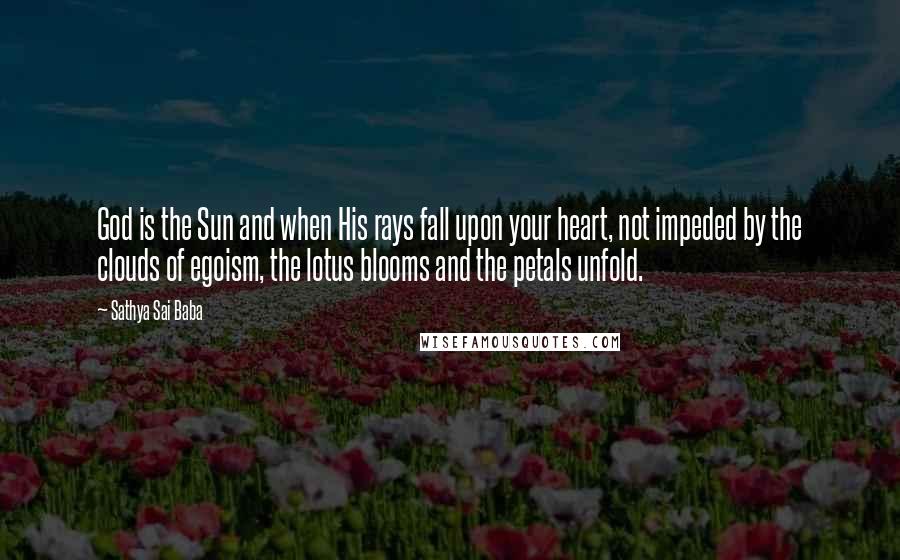 Sathya Sai Baba Quotes: God is the Sun and when His rays fall upon your heart, not impeded by the clouds of egoism, the lotus blooms and the petals unfold.