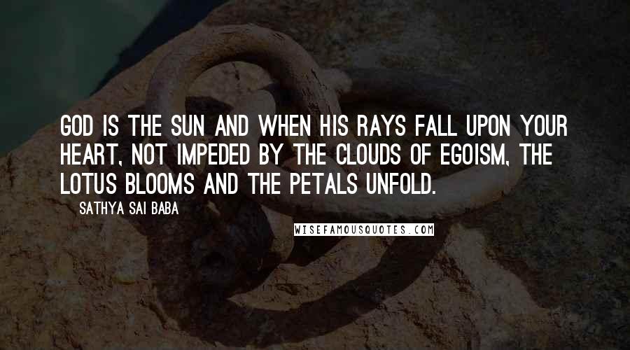 Sathya Sai Baba Quotes: God is the Sun and when His rays fall upon your heart, not impeded by the clouds of egoism, the lotus blooms and the petals unfold.