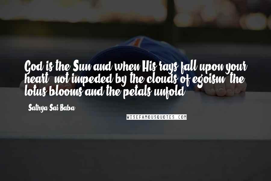 Sathya Sai Baba Quotes: God is the Sun and when His rays fall upon your heart, not impeded by the clouds of egoism, the lotus blooms and the petals unfold.