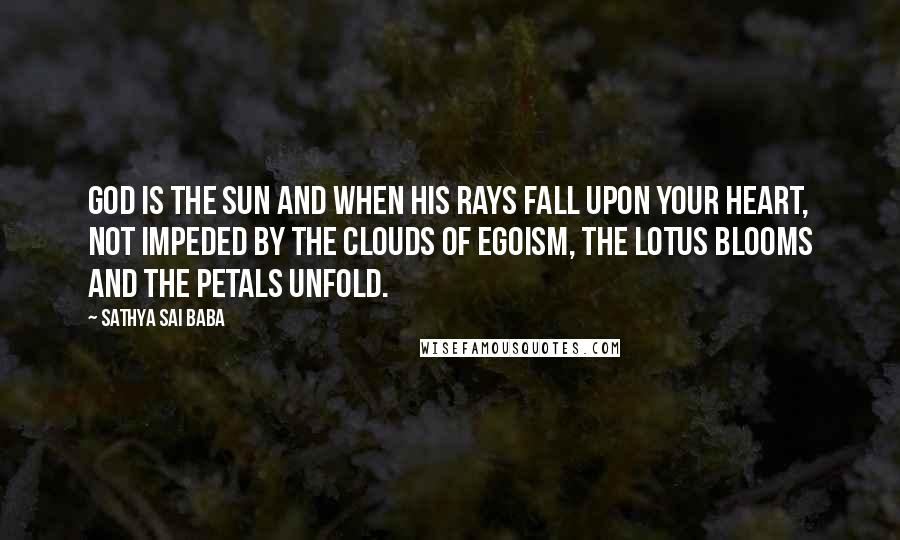 Sathya Sai Baba Quotes: God is the Sun and when His rays fall upon your heart, not impeded by the clouds of egoism, the lotus blooms and the petals unfold.