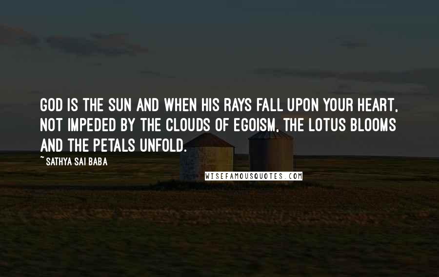 Sathya Sai Baba Quotes: God is the Sun and when His rays fall upon your heart, not impeded by the clouds of egoism, the lotus blooms and the petals unfold.