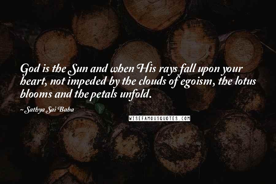 Sathya Sai Baba Quotes: God is the Sun and when His rays fall upon your heart, not impeded by the clouds of egoism, the lotus blooms and the petals unfold.