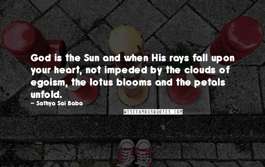 Sathya Sai Baba Quotes: God is the Sun and when His rays fall upon your heart, not impeded by the clouds of egoism, the lotus blooms and the petals unfold.