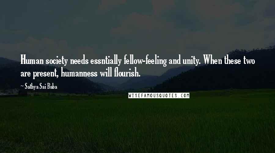 Sathya Sai Baba Quotes: Human society needs essntially fellow-feeling and unity. When these two are present, humanness will flourish.