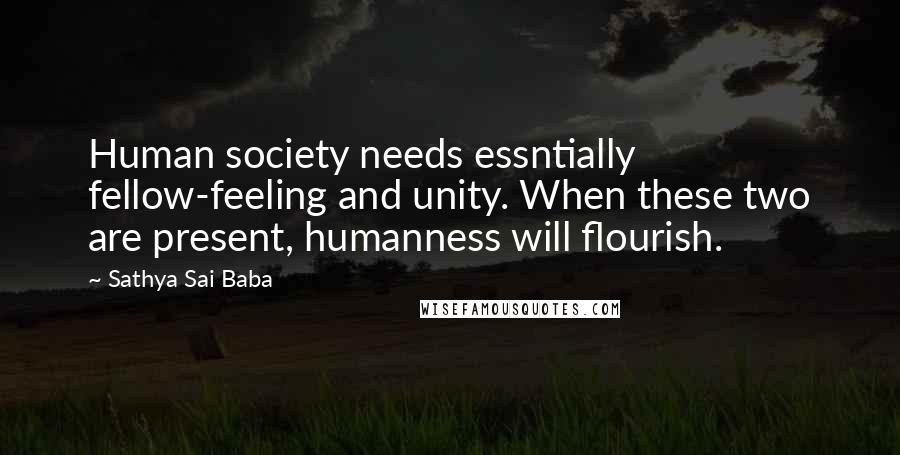 Sathya Sai Baba Quotes: Human society needs essntially fellow-feeling and unity. When these two are present, humanness will flourish.