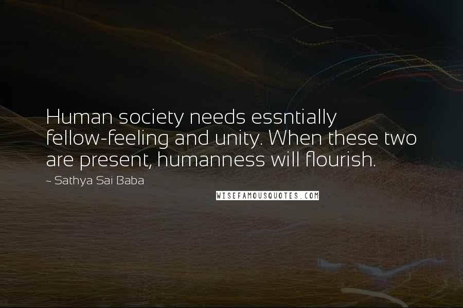 Sathya Sai Baba Quotes: Human society needs essntially fellow-feeling and unity. When these two are present, humanness will flourish.