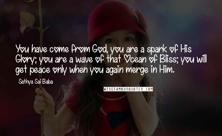 Sathya Sai Baba Quotes: You have come from God, you are a spark of His Glory; you are a wave of that Ocean of Bliss; you will get peace only when you again merge in Him.