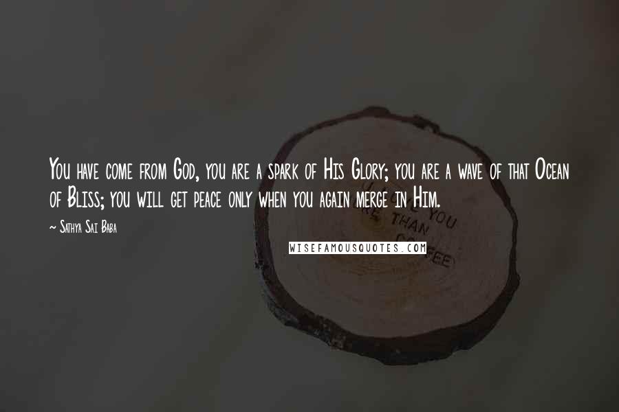 Sathya Sai Baba Quotes: You have come from God, you are a spark of His Glory; you are a wave of that Ocean of Bliss; you will get peace only when you again merge in Him.