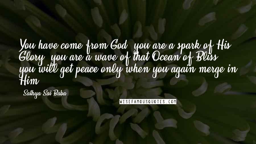 Sathya Sai Baba Quotes: You have come from God, you are a spark of His Glory; you are a wave of that Ocean of Bliss; you will get peace only when you again merge in Him.