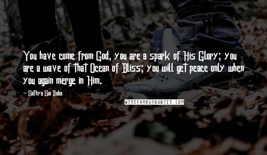 Sathya Sai Baba Quotes: You have come from God, you are a spark of His Glory; you are a wave of that Ocean of Bliss; you will get peace only when you again merge in Him.