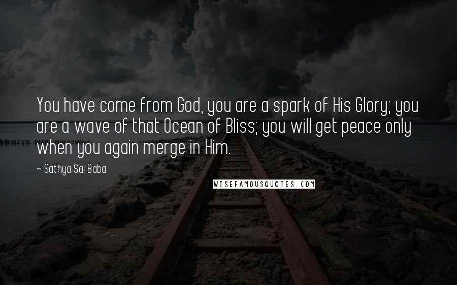 Sathya Sai Baba Quotes: You have come from God, you are a spark of His Glory; you are a wave of that Ocean of Bliss; you will get peace only when you again merge in Him.