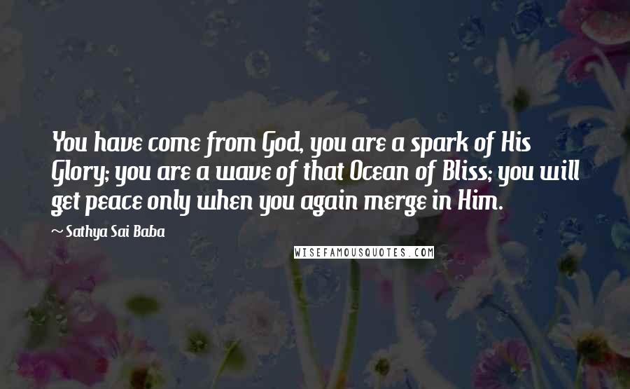 Sathya Sai Baba Quotes: You have come from God, you are a spark of His Glory; you are a wave of that Ocean of Bliss; you will get peace only when you again merge in Him.