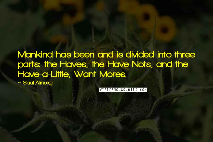 Saul Alinsky Quotes: Mankind has been and is divided into three parts: the Haves, the Have-Nots, and the Have-a-Little, Want Mores.