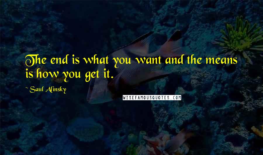Saul Alinsky Quotes: The end is what you want and the means is how you get it.