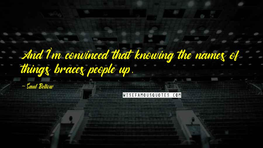 Saul Bellow Quotes: And I'm convinced that knowing the names of things braces people up.