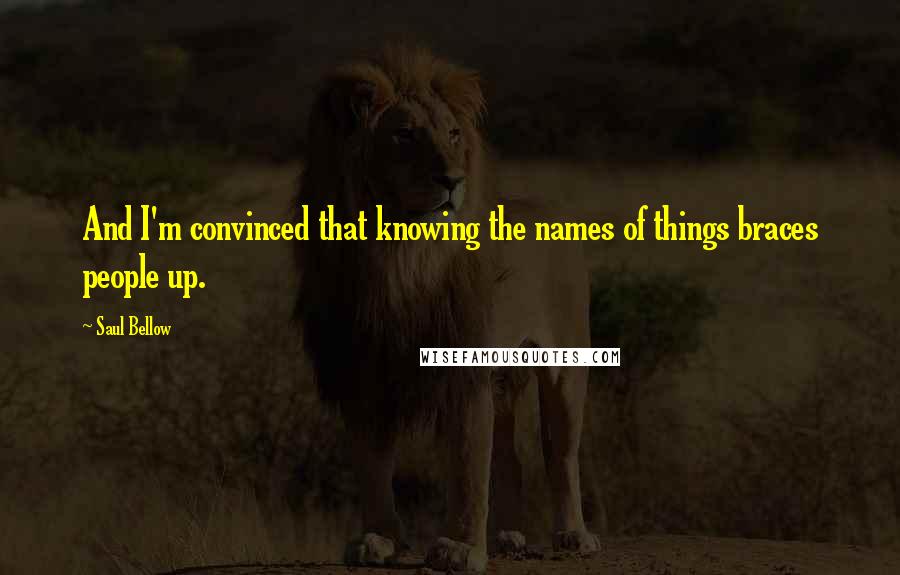 Saul Bellow Quotes: And I'm convinced that knowing the names of things braces people up.