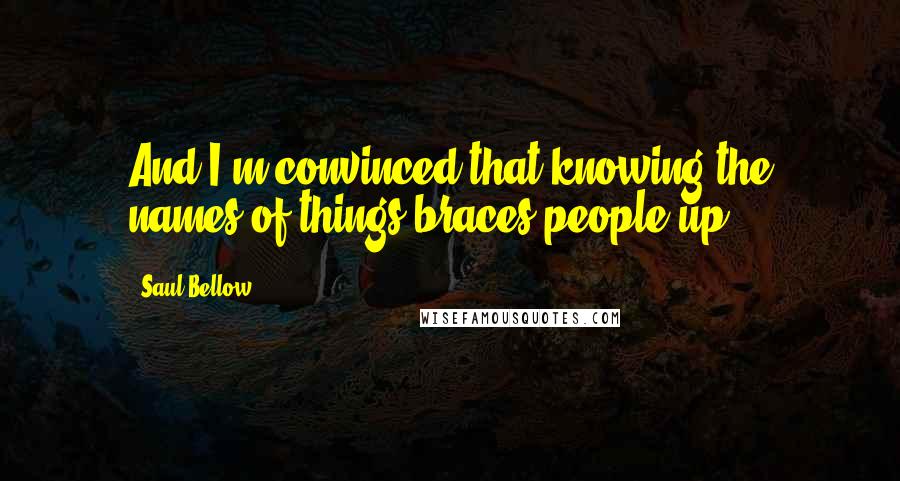 Saul Bellow Quotes: And I'm convinced that knowing the names of things braces people up.