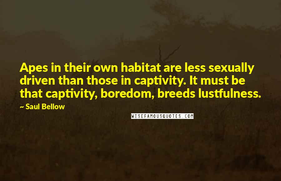 Saul Bellow Quotes: Apes in their own habitat are less sexually driven than those in captivity. It must be that captivity, boredom, breeds lustfulness.