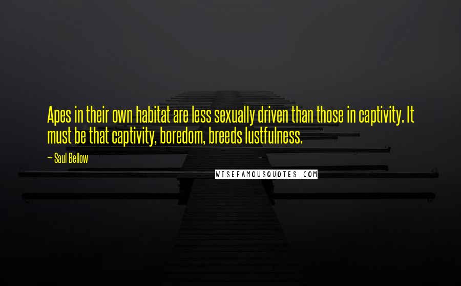 Saul Bellow Quotes: Apes in their own habitat are less sexually driven than those in captivity. It must be that captivity, boredom, breeds lustfulness.