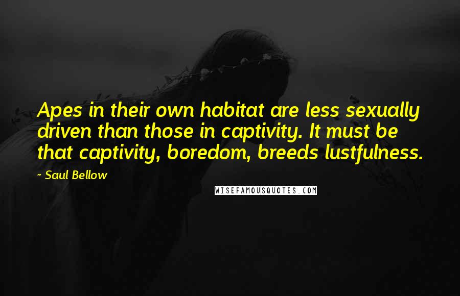 Saul Bellow Quotes: Apes in their own habitat are less sexually driven than those in captivity. It must be that captivity, boredom, breeds lustfulness.