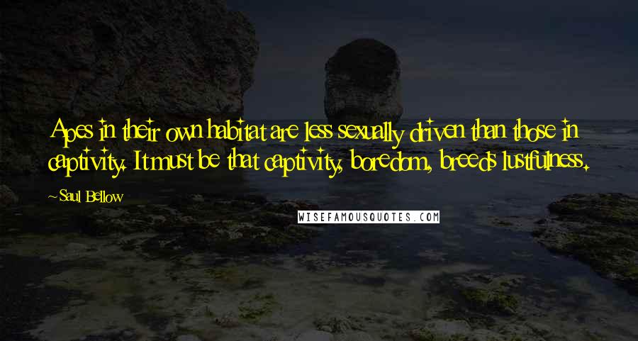 Saul Bellow Quotes: Apes in their own habitat are less sexually driven than those in captivity. It must be that captivity, boredom, breeds lustfulness.