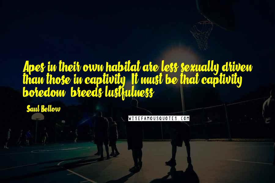 Saul Bellow Quotes: Apes in their own habitat are less sexually driven than those in captivity. It must be that captivity, boredom, breeds lustfulness.