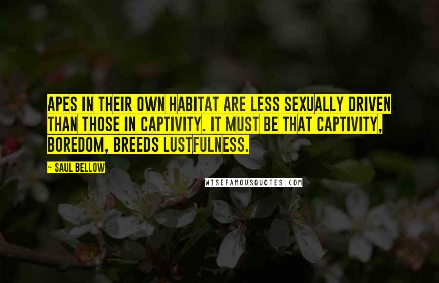 Saul Bellow Quotes: Apes in their own habitat are less sexually driven than those in captivity. It must be that captivity, boredom, breeds lustfulness.