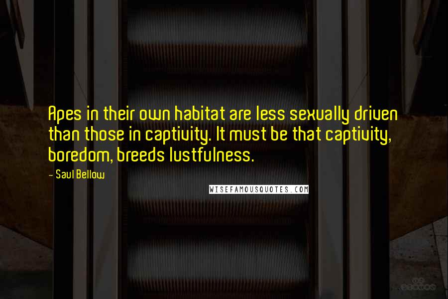 Saul Bellow Quotes: Apes in their own habitat are less sexually driven than those in captivity. It must be that captivity, boredom, breeds lustfulness.