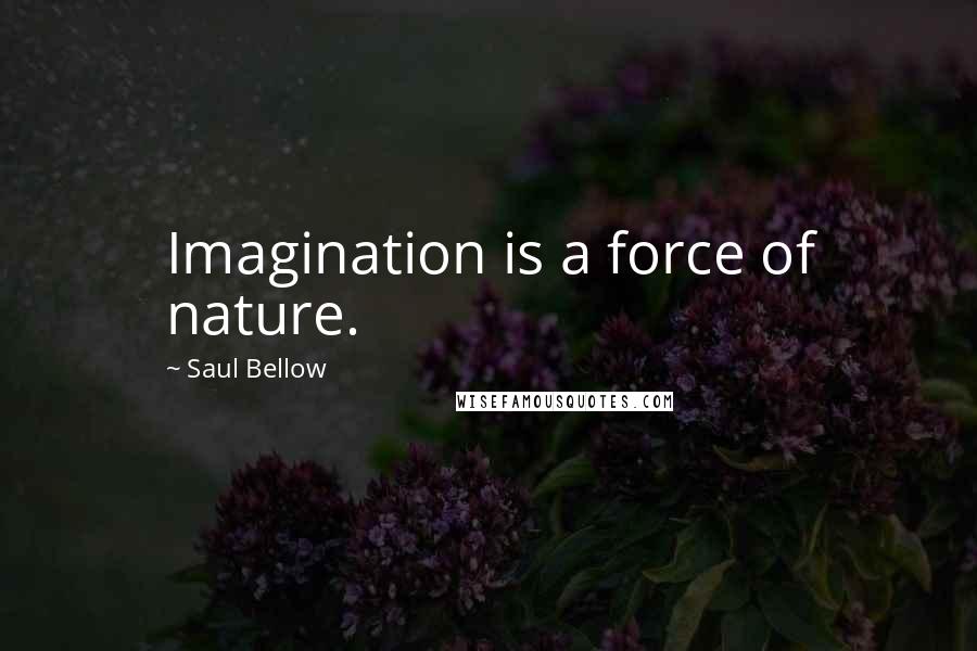 Saul Bellow Quotes: Imagination is a force of nature.