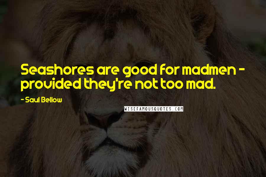 Saul Bellow Quotes: Seashores are good for madmen - provided they're not too mad.