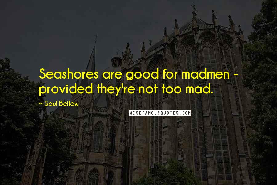 Saul Bellow Quotes: Seashores are good for madmen - provided they're not too mad.