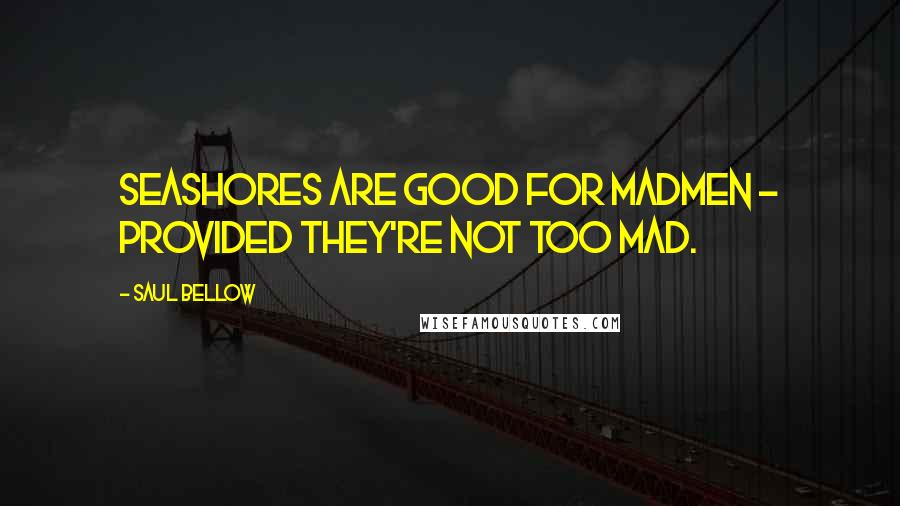 Saul Bellow Quotes: Seashores are good for madmen - provided they're not too mad.